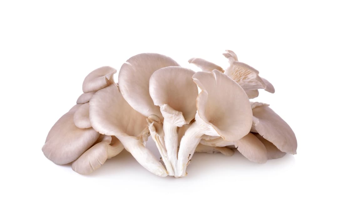 ZIELENIAK Boczniaki 250g. 21,96 zl/kg