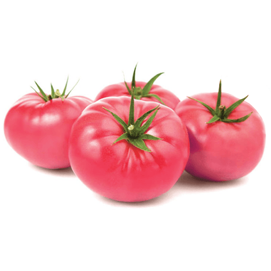 ZIELENIAK Pomidor malinowy krajowy 2-4 szt.. 9,98 zl/kg
